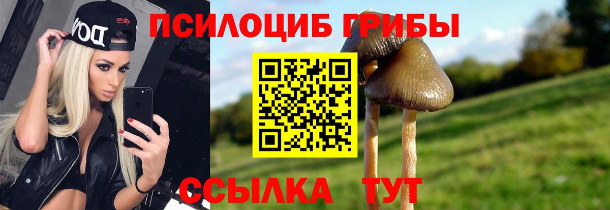 Галлюциногенные грибы Magic Shrooms Сунжа